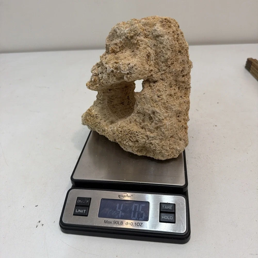 CORAL 8